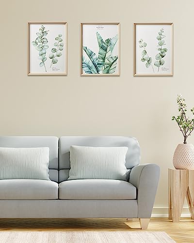 Framed Wall Art,Minimalist Botanical Canvas Wall Art for Living Room,12x16in Plant Wood High-Framed Design Flower Green Eucalyptus Leaf Artworks Prints Poster for Bathroom,Bedroom Set of 3 - color: Flower, size: 16"L x 12"W