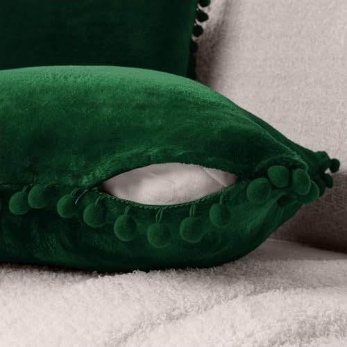 PAVILIA Emerald Green Throw Pillow Covers with Pom Pom 20x20 Set of 2, Decorative Pillow Cases for Bedroom Aesthetic, Small Throw Pillows Set for Bed, Velvet Euro Plush Cushion Covers for Sofa Couch - color: Emerald Green, size: 20" x 20" (Pack of 2)