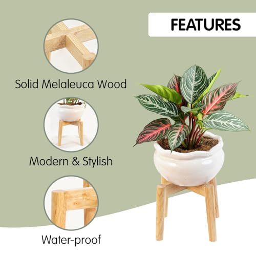 Wood 7.5" x 9.8" Plant Stand Indoor Outdoor, Wooden Single Floor Plant Pot Holder, Natural Plant Stand, Assembly Required (Excluding Potted Plants) - color: Natural, size: 7.5" H x 9.8" W