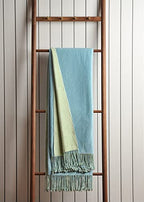 EP Mode Reversible Fringed Mulberry Silk Throw Blanket for Sofa (Crystal Blue/Lime) - color: Crystal Blue/ Lime