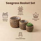 Seagrass Plant Basket Set of 3, Handwoven Woven Planter Baskets | Plastic Lined, Waterproof Liner, Natural Storage Basket, Home Decor