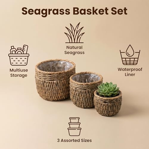 Seagrass Plant Basket Set of 3, Handwoven Woven Planter Baskets | Plastic Lined, Waterproof Liner, Natural Storage Basket, Home Decor