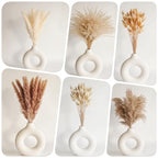 Dried Pampas Grass Decor, 120 PCS Pampas Grass with Bunny Tails Dried Flowers, Reed Grass Bouquet for Wedding, Boho Flowers, Home Table Decor, Rustic Farmhouse Party (White and Brown) - size: 120PCS