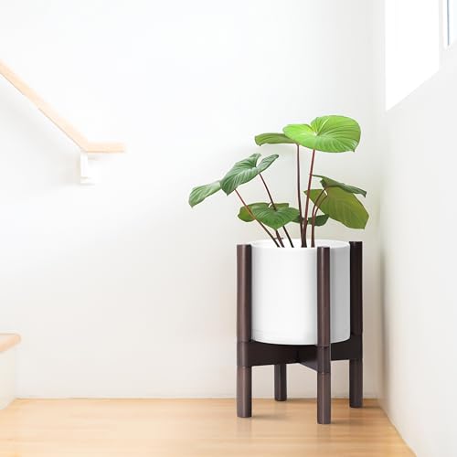 D'vine Dev Planter Pot with Stand - 8 Inch Plastic Cylinder Flower Pot with Wood Planter Holder for Indoor, Matte White Pot + Walnut Color Stand, 55-C-I-1 - color: Matte White Pot + Walnut Color Stand, size: 8 Inch
