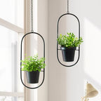 Modern Metal Hanging Planters with 5 Inch Pots - Set of 2 Oval Geometric Plant Hangers - Black Wall and Ceiling Mount Flower Holders for Indoor and Covered Outdoor Houseplants - size: OVAL-5 INCH POT
