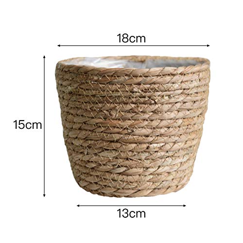 Seagrass Basket Planter, Flower Pot Cover, Storage Basket, Plant Container, Hand Woven, Plastic Liner, Beige, 7 Inch, Indoor/Outdoor