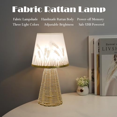 Vintage Small Wicker Lamp, Rattan Body Fabric Lampshade, Adjustable Light Color and Brightness, Power-Off Memory, Safe USB Powered, Boho Style Night Light for Bedroom Living Room (Cone-Wheat) - color: Cone-Wheat