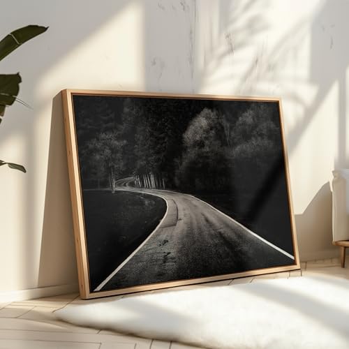 Monem Art Winding Road Through a Forest Print - Bavarian Paths Poster - Landscape Art - Monochrome Office or Living Room Decor - 8x10 Unframed Wall Art by Adam Dauria - color: Style-09, size: 8"L x 10"W