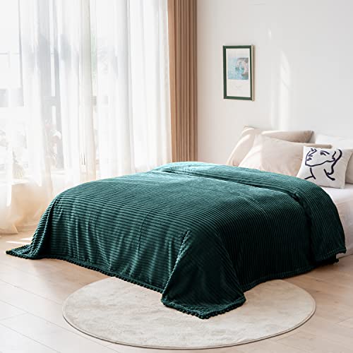 DISSA Fleece Blanket Queen Size – 71x80, Green - Soft, Plush, Fluffy, Fuzzy, Warm, Cozy – Perfect Throw for Couch, Bed, Sofa - with Pompom Fringe - Flannel Blanket - color: Green, size: 71x80"