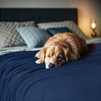 Utopia Bedding Knit Blanket Queen Size (90x90 Inches, Navy) Soft Lightweight Jersey Breathable Sweatshirt Blanket for Bed,Couch & Sofa - color: Navy, size: Queen