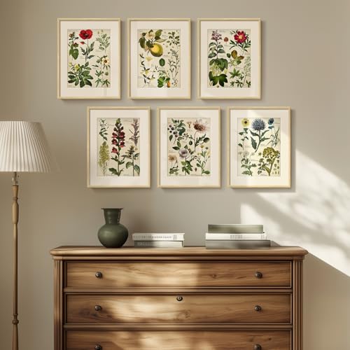Framed Botanical Floral Wall Art for Kitchen, Set of 6 Green Painting Canvas Prints with Mat for Modern Farmhouse Wall Decor, Rustic Plant Flower Pictures for Living Room Bedroom Dining Room, 11x14 - color: Botany - Neutral Framed, size: 11" W x 14" H x 6