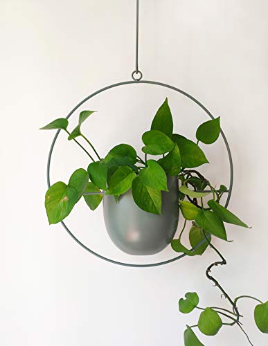 RISEON Boho Green Metal Plant Hanger,Metal Wall and Ceiling Hanging Planter, Modern Planter, Mid Century Flower Pot Plant Holder, Minimalist Planter for Indoor Outdoor Home Decor - color: Green, size: Round shape