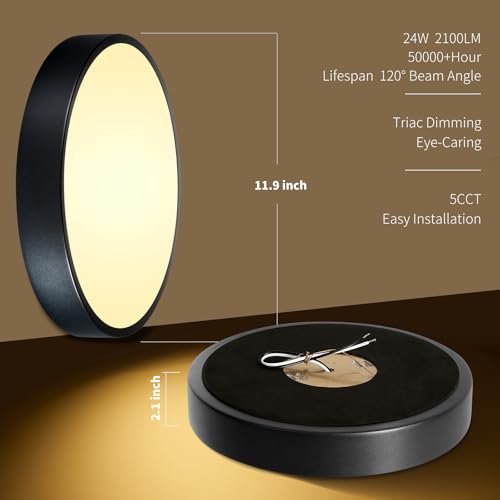 Black Flush Mount Ceiling Light 12 inch LED Dimmable Ceiling Lamp 24W 5CCT(2700K-5000K) Modern Close to Ceiling Light Fixture for Bedroom Foyer Kitchen Entryway Closet Hallway - color: Black
