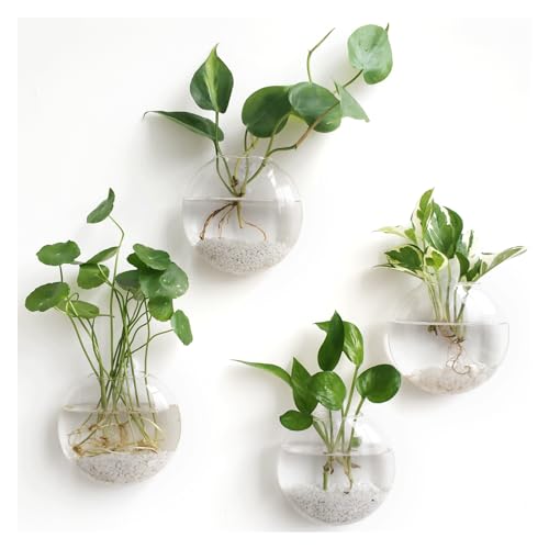 Mkono Wall Hanging Planter Propagation Station Glass Flower Vase for Hydroponics Plants, Bathroom, Home Office Living Room Decor Gift, Oblate Set of 4(Plants not Included)