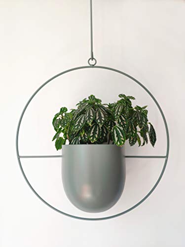 RISEON Boho Green Metal Plant Hanger,Metal Wall and Ceiling Hanging Planter, Modern Planter, Mid Century Flower Pot Plant Holder, Minimalist Planter for Indoor Outdoor Home Decor - color: Green, size: Round shape