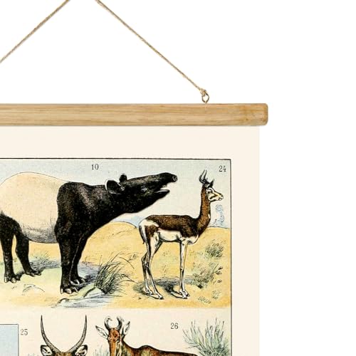 ABoby Vintage Illustrated Wildlife Chart Posters - Educational Animal Wall Art for Schools Homes - Retro Style Painting with Wood Frames - color: Wildlife