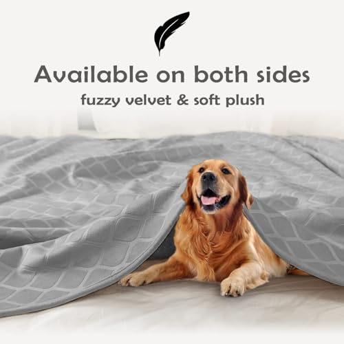 fuguitex Waterproof Dog Blanket Bed Cover Dog Crystal Velvet Moroccan Fuzzy Cozy Plush Pet Blanket Throw Blanket for Couch Sofa(82 * 82 inch, Light Grey+Grey) - color: Light Grey+grey, size: 82x82 Inch (Pack of 1)