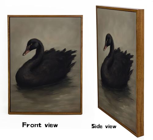 Framed Vintage Black Swan Canvas Wall Art Moody Animal Picture Dark Victorian Gothic Aesthetic Poster Print Rustic Farmhouse Antique Painting Wall Decor for Living Room Bedroom Kitchen 8x10in - color: Black Swan, size: 10"L x 8"W
