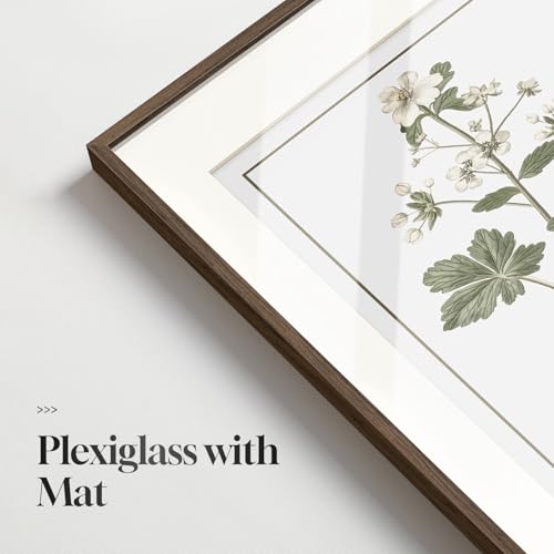 Framed Vintage Botanical Wall Art, 6 Piece Rustic Floral Canvas Painting Prints Artwork for Kitchen Walls, Neutral Flower Pictures for Living Room Bedroom Dining Room Farmhouse Wall Decor, 11x14 - color: Herbarium - Walnut Framed, size: 11" W x 14" H x 6P