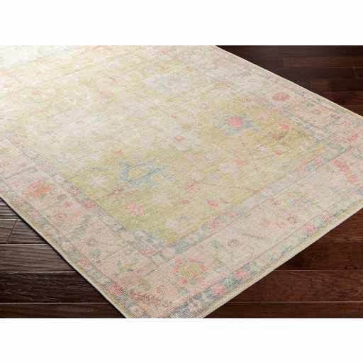 Hauteloom Zinnia Vintage Distressed Faded Area Rug - Oriental Bohemian Turkish Floral Carpet - Machine Washable Rug - Stain Resistant - Pet Friendly - Pink, Green, Blue - 7'6" x 9'6" (8x10) - color: Light Brown, Medium Gray, Dark Brown / Bozkurt, size: 7'