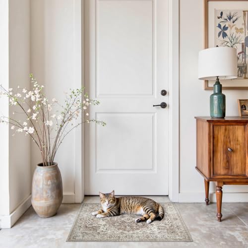 jinchan Area Rug 2x3 Washable Entryway Rug Vintage Kitchen Floor Cover Traditional Thin Taupe Multi Distressed Floral Doormat Indoor Mat for Bathroom Bedroom Living Room - color: Medallion Taupe Multi, size: 2' x 3' (Rectangular)