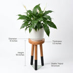 Rubber Wood 9" Round Plant Stand |Dip Dyed Black Accent Stool |Small Drinking Table |Side Table(18" H) - color: 18" Tall Black