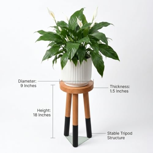 Rubber Wood 9" Round Plant Stand |Dip Dyed Black Accent Stool |Small Drinking Table |Side Table(18" H) - color: 18" Tall Black