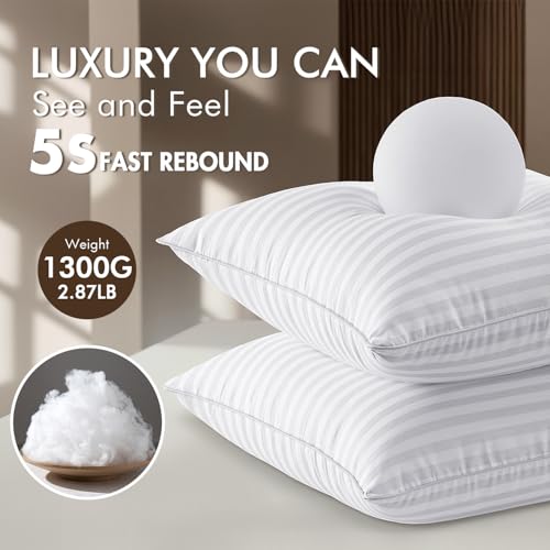 MIULEE 26x26 Pillow Inserts, Firm and Fluffy Decorative Square Throw Pillows for Couch Sofa Bed, Down Alternative with 100% Cotton Cover Pack of 2 - size: 26x26 Inch