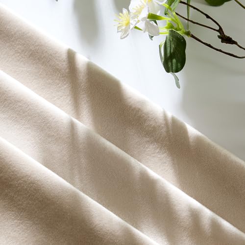 GIGIZAZA 12x20 Lumbar Pillow Covers: Pack of 2 Champagne Beige Throw Pillows Super Soft Velvet Covers - Decorative Vintage Rectangle Solid Elegant Cushion Covers Used for Couch,Living Room - color: Champagne, size: 20" x 12" (Pack of 2)