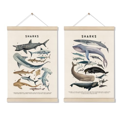DOI-LANEE Shark Poster Hanger Frame, Set of 2 Shark Canvas Wall Art 16x12 Inch, Kids Educational & Learning Posters, Ocean Room, Sea Animal Decor for Playroom Classroom, Ocean Animals Wall Decor - color: Off-White04