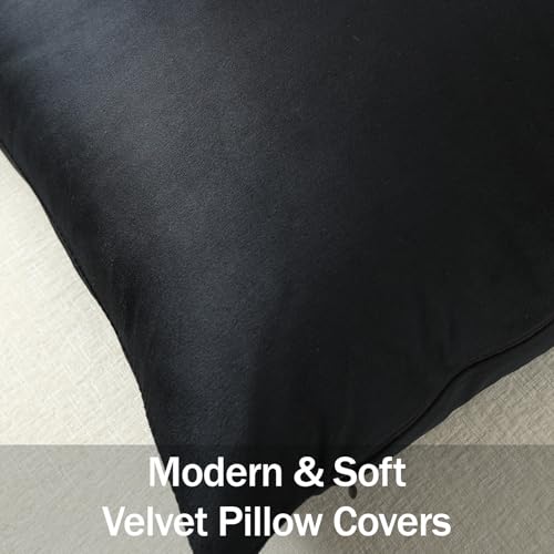 DEZENE Throw Pillow Covers 20x20 Black: Pack of 2 Cozy Soft Velvet Square Modern Luxury Decorative Throw Pillow Cases for Sofa Couch Living Room Bed Home Decor - color: Caviar, size: 20" x 20" (Pack of 2)