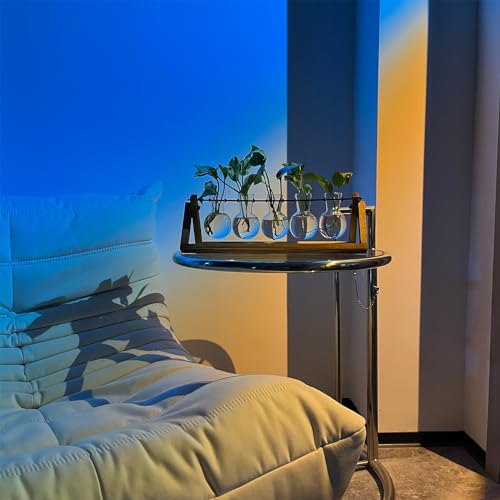 Kingbuy Plant Propagation Station with 5 Bulb Vases Retro Wooden Stand Desktop Glass Planter Terrarium for Hydroponics Plants Home Office Décor - size: 5 Bulb Vase