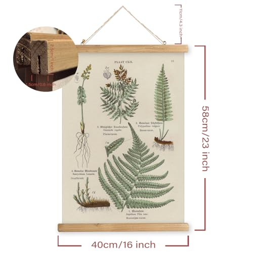 2 Pack Vintage Poster Hanger Frame, Retro Style Wall Decor Art Painting, Patterns are Printed on Linen Without Fading, Living Room Office Classroom Bedroom Playroom Apartment Decor. (Ferns) - color: 2 x Fern Botanical, size: 23"L x 16"W