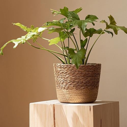 Woven Basket with Plastic Lining 6.1" x 4.3" for Indoor Outdoor Planters Home Decor Flower Pots Cover Storage Organizer Plant Corner Decoration - size: Small