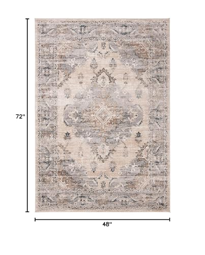SAFAVIEH Oregon Collection Accent Rug - 4' x 6', Beige & Grey, Oriental Distressed Design, Non-Shedding & Easy Care, Ideal for High Traffic Areas in Entryway, Living Room, Bedroom (ORE898B) - size: 4' x 6' (Rectangular)