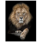 Jaccaws 3D Lion Wall Art, African Lion Wall Tapestry, 59''x79'' for Bedroom & Living Room Decor