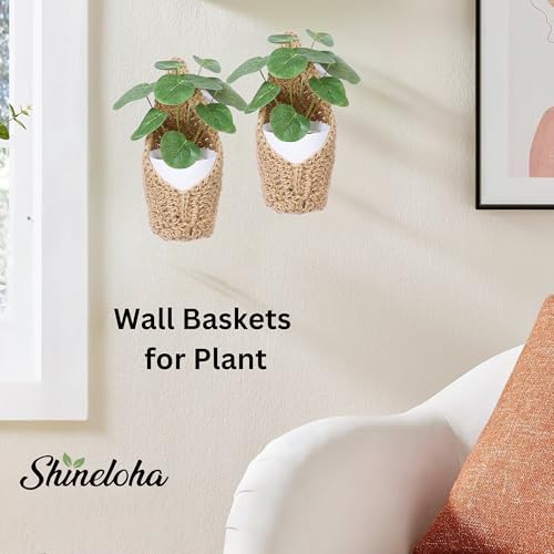 2 Pack 4-inch Hanging Planters for Indoor Plants, Macrame Wall Plant Hanger | Wall Plant Holder, Wall Planters for Indoor Plants (2 Pack, up to 4 inch Pot) - size: Small