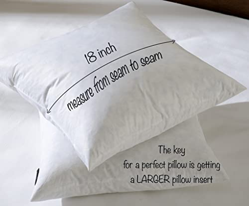 basic home® Hotel-Style Goose Feather Pillow Insert for Sofa & Bed - 100% Odorless & Plump Cushion Filler - 233TC Cotton with Inner Liner to Prevent Poking (18x18 Inch) - size: 18x18