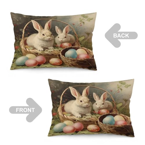 Pillow Protector Vintage Easter Bunnies Eggs Throw Pillow Case Cushion Cover 16 "x24 Happy Easter Rabbit Spring Flower Holiday Cute Throw Pillows Zipper Pillowcase for Bedroom Living Room - color: Pattern-6, size: 24" x 16" (Pack of 1)