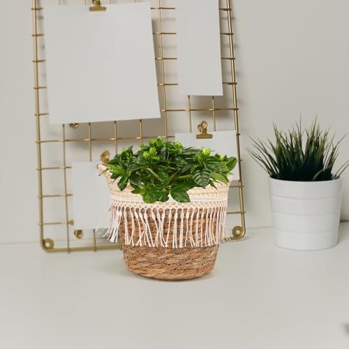 Abaodam Woven Basket Planter for Indoor Plants Small Jute Rope Plant Basket with Tassel Boho Flower Pot Holder Home Decor Storage Container