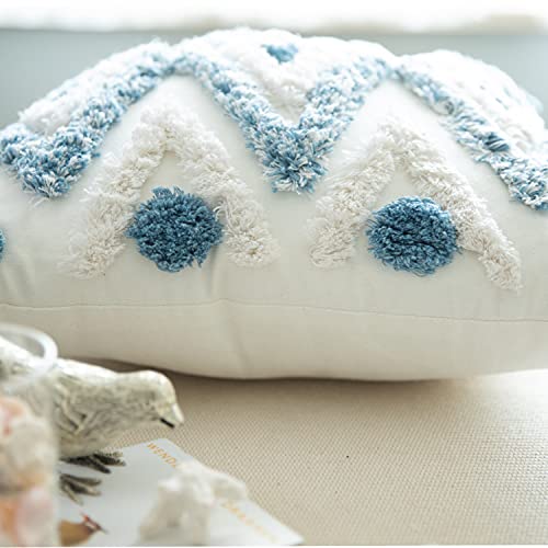 Set of 2 Cotton Woven Boho Throw Pillow Covers, Tufted Decorative Square Pillowcases Covers with Tassels for Couch Sofa Bed, Living Room Sofa, Farmhouse, 20x20 Inch Blue(2 pcs) - size: 20" x 20" (Pack of 2)