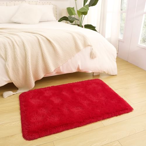 DETUM Small Red Rug 2x3 Fluffy Area Rug for Bedroom Kitchen Entryway Hallway Washable Super Soft Throw Carpet for College Dorm Plush Rugs for Kids - color: Red, size: 2 x 3 feet