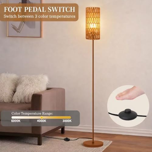 Ruiever Floor Lamp for Living Room,Farmhouse Floor lamp,Modern Standing lamp with Hand-Worked Rattan Shade (Brown Body with 3 Color Bulb) - style: Brown Body with 3 Color Bulb