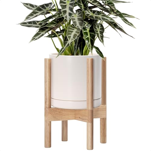 D'vine Dev Ceramic Planter with Natural Stand - 8 Inch Modern Round Flower Pot with Wood Planter Holder, Oatmeal, 55-B-N-8 - color: Oatmeal Pot + Natural Stand, size: 8 Inch