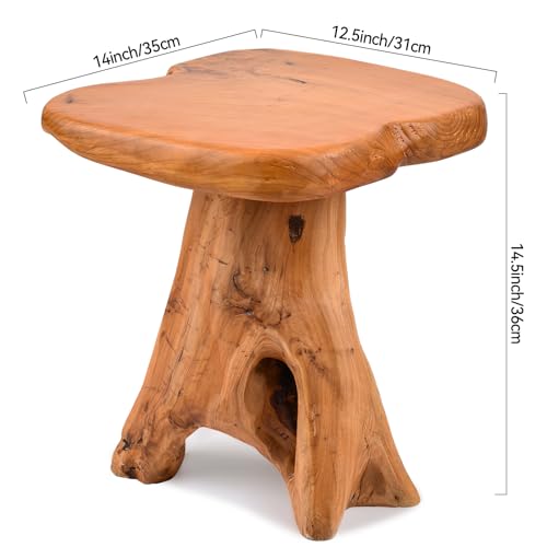 Small Side Table, Freeform Live Edge Wood Stool, Unique Design Natural Plant Stand for Patio, Garden, Yard, Living Room, Bedroom - size: 14"D x 13"W x 14.5"H