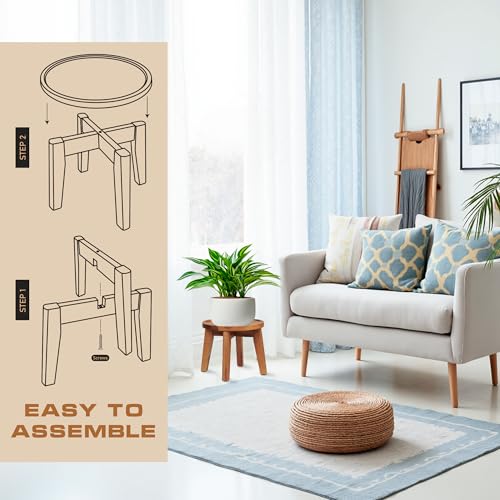 Demigo Indoor Plant Stand, Acacia Wooden Decorative Plant Shelf with Spill-Proof Tray, Stable 8” Tall Flower Holder for Heavy Pots, Gardening Display for Decor Living Room Patio - Natural Brown - color: Natural Acacia, size: Medium