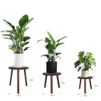 Amdermi 3 Pack Wood Plant Stands Indoor, Mid Century Modern Plant Stool for 6-12 Inch Pots, Tall Small Plant Stand Set for Living Room, Balcony, Office - color: Dark Brown
