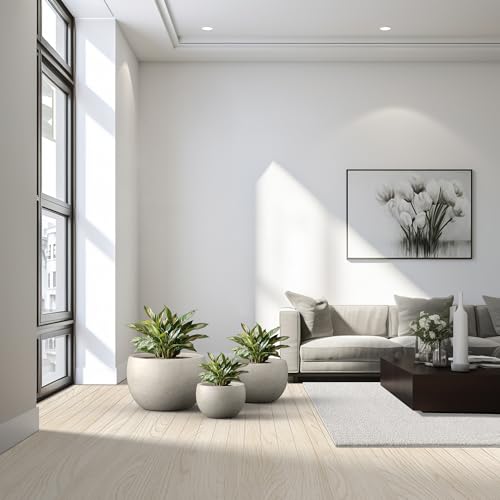 Kante 19.9",15.7",11.8" Dia Round Concrete Planter Set of 3, Outdoor/Indoor Large Bowl Plant Pots with Drainage Hole and Rubber Plug for Garden Patio Balcony Home, Weathered Concrete - color: Weathered Concrete, size: 19.9"D + 15.7"D + 11.8"D