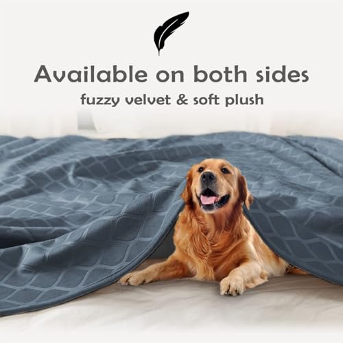 fuguitex Waterproof Dog Blanket Bed Cover Dog Crystal Velvet Moroccan Fuzzy Cozy Plush Pet Blanket Throw Blanket for Couch Sofa - color: Blue+grey, size: 40x60 Inch (Pack of 1)