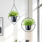 Modern Metal Hanging Planters Set of 2 - Round and Diamond Geometric Plant Hangers with 5 Inch Pots - Black Wall and Ceiling Mount Flower Holders for Indoor Houseplants, Boho Home Décor - size: CIRCLE+DIAMOND - 5 INCH POT